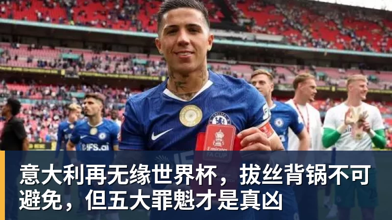 乐冠体育意大利再无缘世界杯，拔丝背锅不可避免，但五大罪魁才是真凶